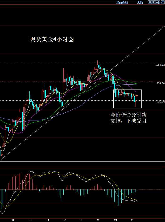 大田环球贵金属官网(大田环球贵金属官网交易策略)